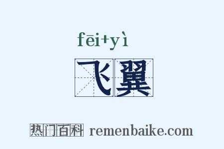 飞翼是什么意思的图片